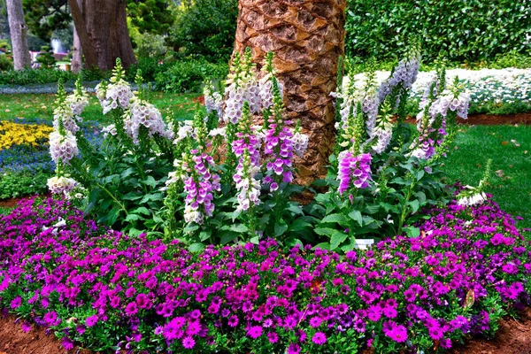 Euroflora Nervi Parks Garden Genoa Italy — Stock Photo, Image