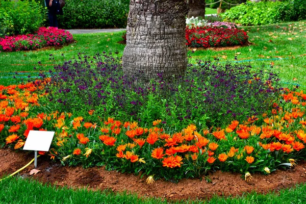 Euroflora Nervi Parken Tuin Genua Italië — Stockfoto