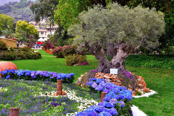 Euroflora Exhibition Flower Ornamental Plant One Main Floral Exhibitions Taking — Stockfoto