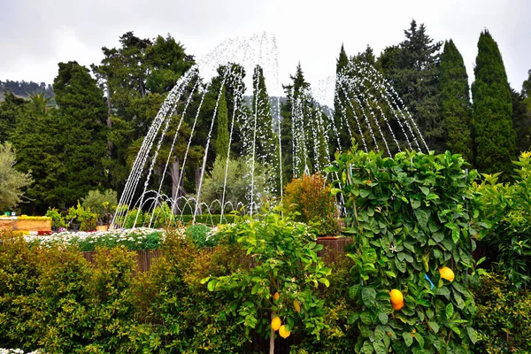 Euroflora Nervi Parks Garden Genoa Italy — Stockfoto