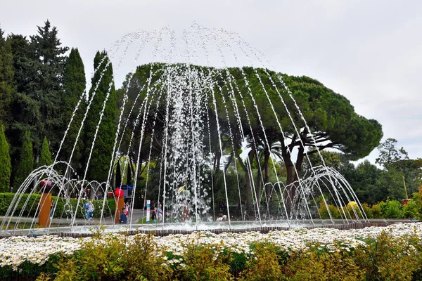 Euroflora Exhibition Flower Ornamental Plant One Main Floral Exhibitions Taking — Stock Photo, Image