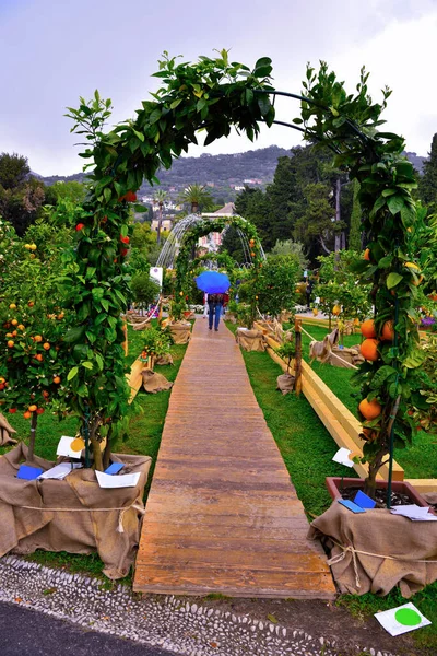 Euroflora Nervi Parks Garden Genoa Italy — Stok fotoğraf