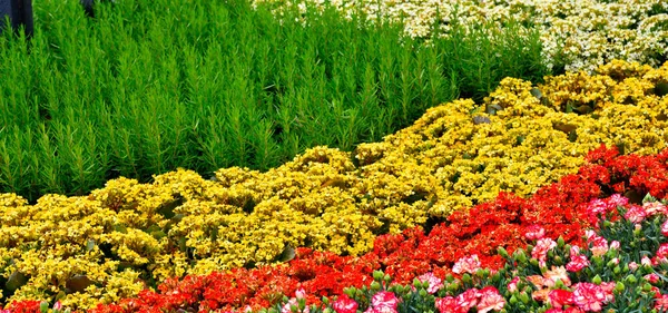 Euroflora Nervi Parkok Kert Genoa Olaszország — Stock Fotó