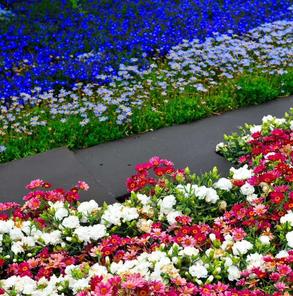 Euroflora Nervi Parker Trädgård Genua Italien — Stockfoto