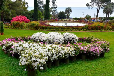 Euroflora çiçeğin bir sergisidir ve süs bitkisi Akdeniz 'de ve 02 Mayıs 2022 Ceneviz İtalya' sında yer alan başlıca çiçek sergilerinden biridir. 