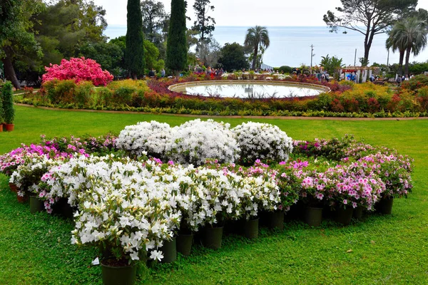 Euroflora Exhibition Flower Ornamental Plant One Main Floral Exhibitions Taking — Stok fotoğraf