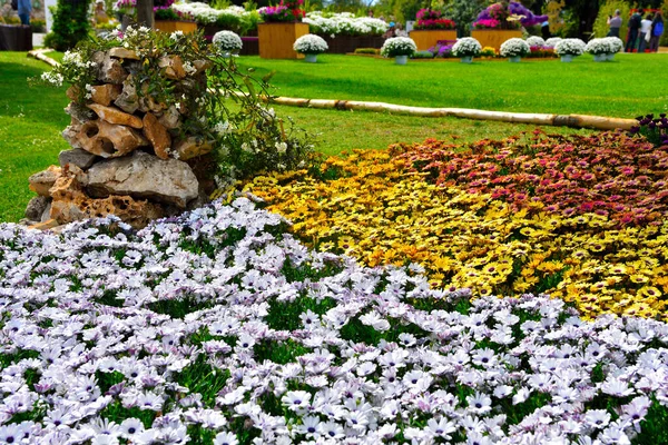 Euroflora Виставка Квітів Декоративна Рослина Однією Основних Квіткових Виставок Відбуваються — стокове фото