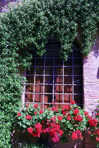 Vislumbre Civita Bagnoregio Viterbo Italia — Foto de Stock