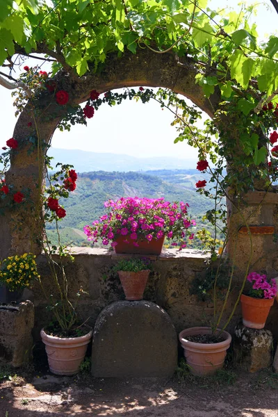 Garden Civita Bagnoregio Italy — Stock Photo, Image