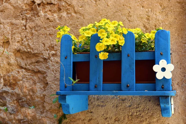 Fiori Nel Centro Storico Bagnoregio Viterbo — Foto Stock