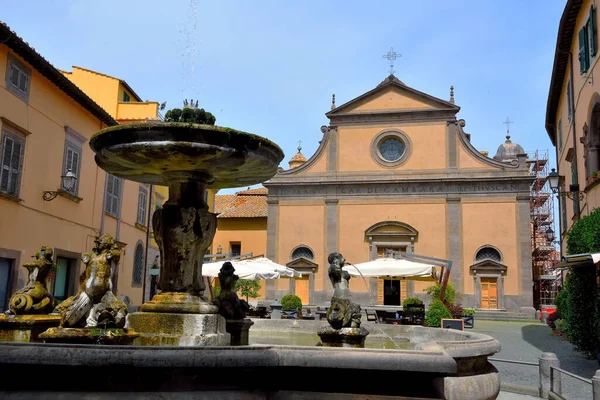 San Giacomo Maggiore Plaza Catedral Fuente Tuscania Italia — Foto de Stock
