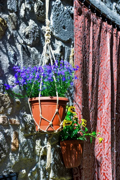 Flowers Old Town Bolsena Lazio Italy — Foto de Stock