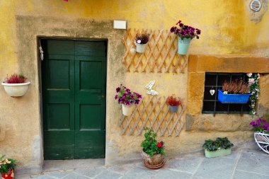 flowers in the colorful village of ghizzano tuscany Italy