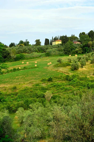 Hills Peccioli Tuscany Italy — kuvapankkivalokuva