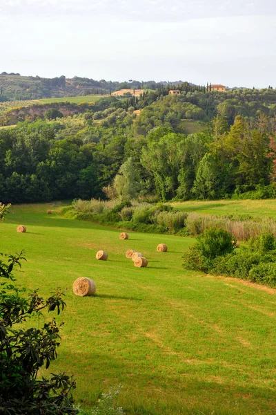 Hills Peccioli Tuscany Italy — Photo