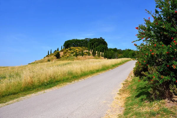 panorama of the Tuscan hills near Lajatico Italy