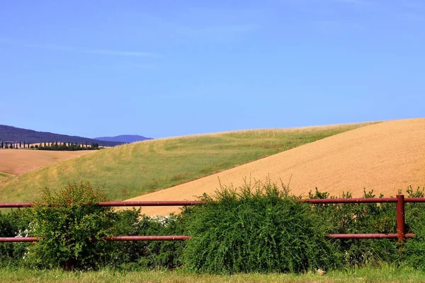 Panorama Tuscan Hills Lajatico Italy — Stockfoto