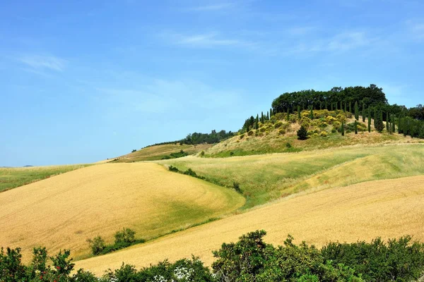 Panorama Tuscan Hills Lajatico Italy — 스톡 사진