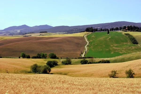 Panorama Tuscan Hills Lajatico Italy — Fotografia de Stock