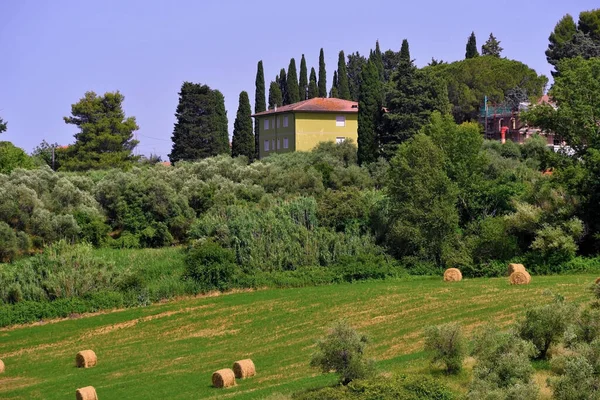 Hills Peccioli Tuscany Italy — kuvapankkivalokuva