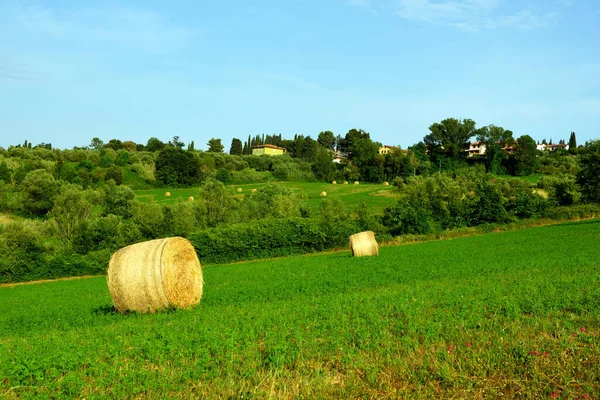 the hills near Peccioli tuscany Italy