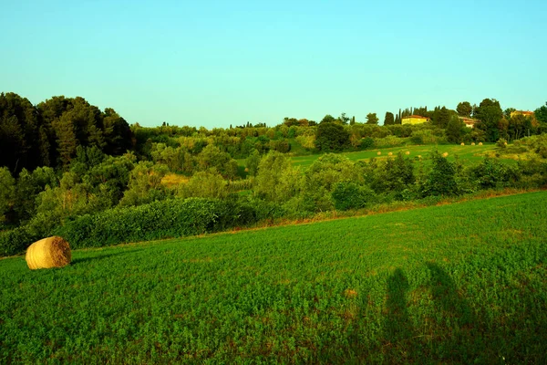 the hills near Peccioli tuscany Italy