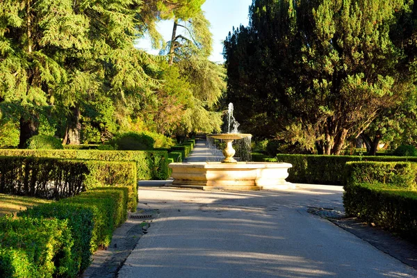 カステル ガンドルフォ ラツィオの植物園 — ストック写真