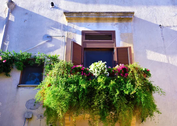 Цветущий Балкон Montalbano Jonico Basilicata Италия — стоковое фото
