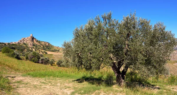 Opuszczona Wioska Craco Basilicata Włochy — Zdjęcie stockowe