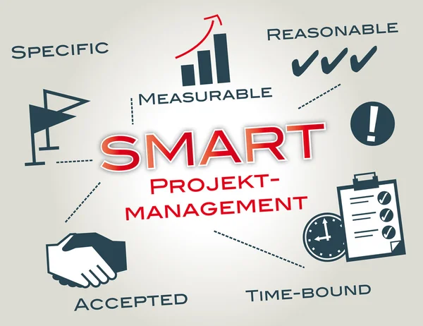 Smart, project management — Stock Vector