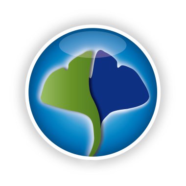 GINKO, ginkgo alternatif medizin, heilpraktiker