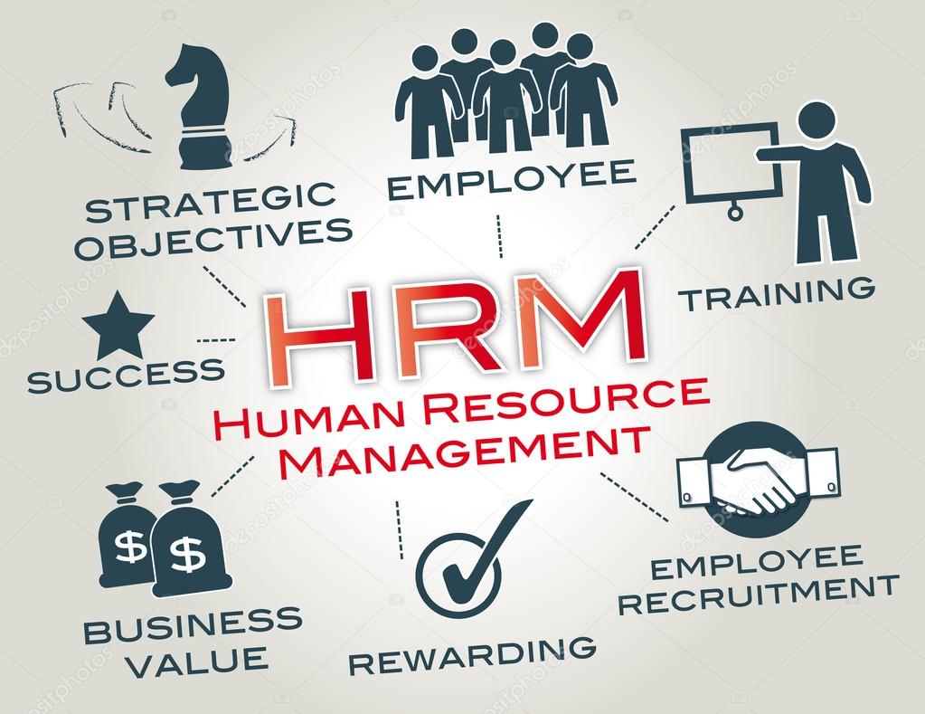 Human Resource Management HRM Stock Vector By trueffelpix 45591617