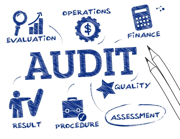 Concepto de auditoría — Archivo Imágenes Vectoriales