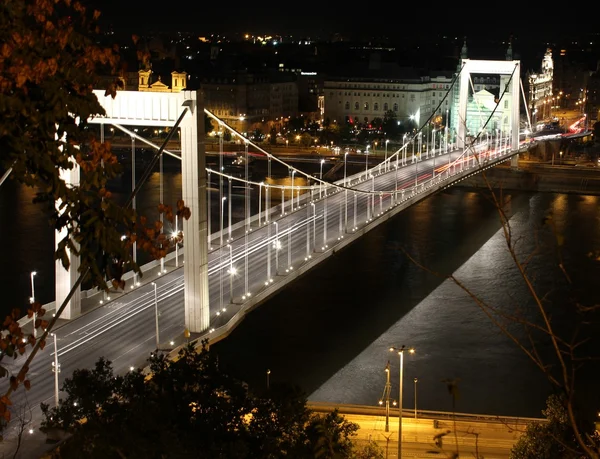 Elisabeth-bron på natten i budapest Stockbild