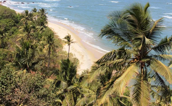 Palmiye ağaçlarının Cennet plaj Telifsiz Stok Imajlar