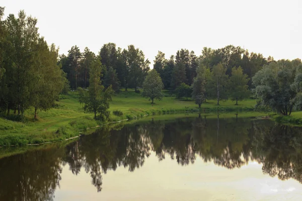 Pavlovsk park-tó és a fák — Stock Fotó