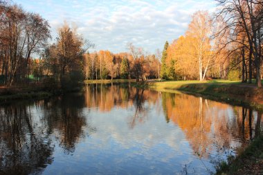 Pavlovsk park. manzara