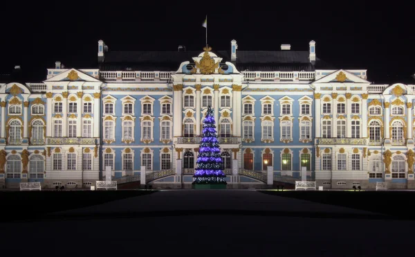Katarina palatset i Pusjkin nattetid Stockbild