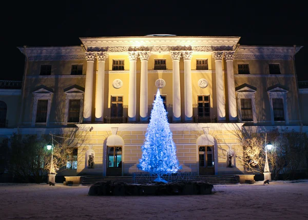 Pavlovsky palace och christmas tree Royaltyfria Stockbilder