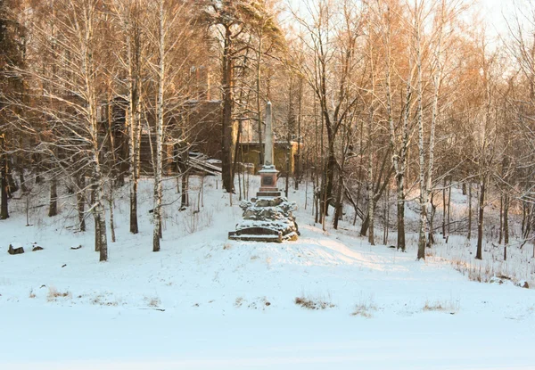 Ovelisk w pavlovsk w zimie — Zdjęcie stockowe