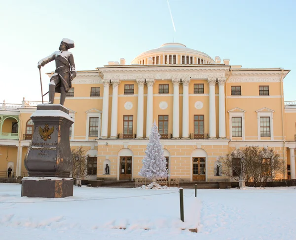 Vista com Palácio Pavlovsky e Monumento a Pavel Primeiro em Januar — Fotografia de Stock