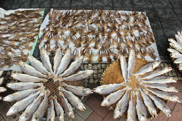 kurutulmuş balık ve ahtapot