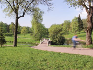 pavlovsk Park dökme demir köprü