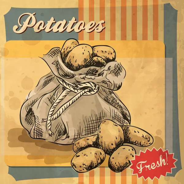 Modello di poster vintage per fattoria di patate . — Vettoriale Stock