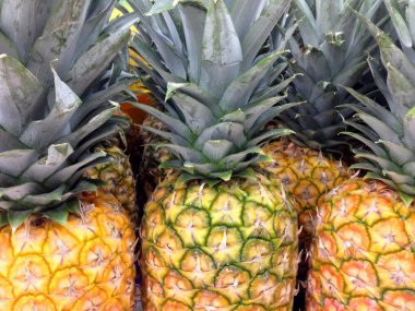 ananas, meyve, taze, çiftçi, market, vegan, vejetaryen, gıda, sağlıklı, ecuador,