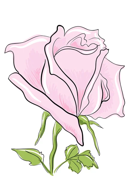 Rose rosa — Stock vektor