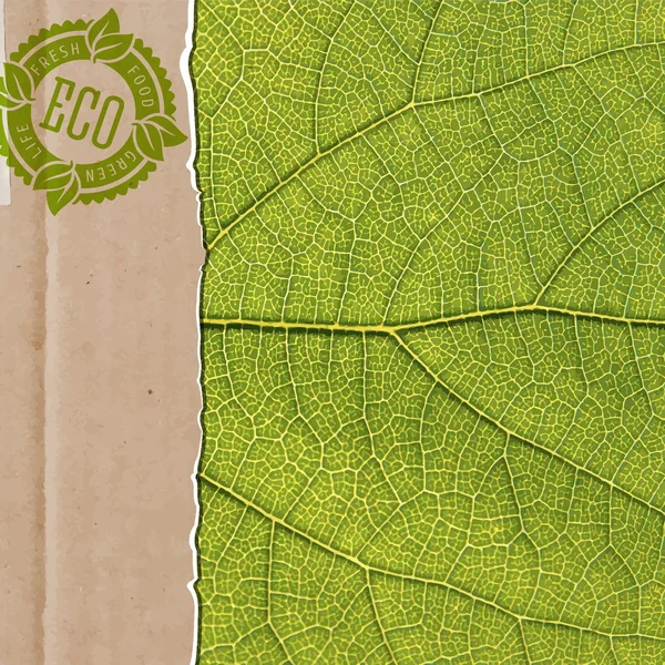 Ретро-винтажная бумага с листком — стоковый вектор