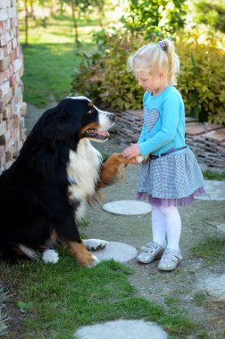 kız ve köpek