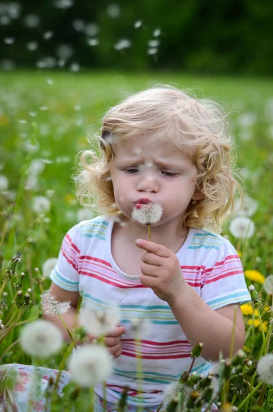 Chica soplando un diente de león — Foto de Stock