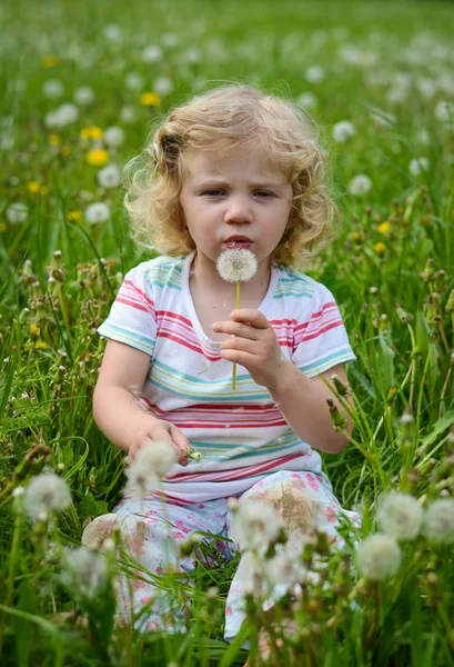 Girl blowing a dandelion — Stock Photo, Image